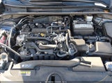 Toyota Corolla Le 5YFB4MDE1RP174883 снимка