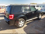 Ford Escape Xlt 1FMCU0DG5AKB50454 снимка