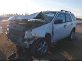 Ford Escape Xlt 1FMCU03G99KC48397 снимка