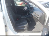 Miniaturka zdjęcia 5