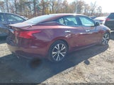 Nissan Maxima 3.5 Platinum/3.5 S/3.5 Sl/3.5 Sr/3.5 Sv 1N4AA6AP6GC432977 photo