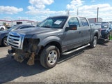 Ford F-150 Xl/Xlt 1FTRW12869KC78370 fotografie