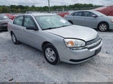 Chevrolet Malibu Ls 1G1ZT54894F186029 снимка