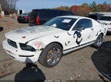 Ford Mustang V6/V6 Premium 1ZVHT80N395122210 fotografie