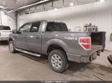 Ford F-150 Xlt 1FTFW1EF3DFC32042 снимка