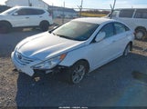 Hyundai Sonata Gls 5NPEB4AC0DH552851 снимка