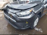 Toyota Rav4 Xle 2T3P1RFV8MC182584 снимка