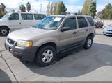 Ford Escape Xlt 1FMYU03181KA73971 снимка