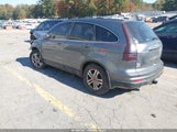 Miniaturka zdjęcia 3