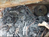 Miniaturka zdjęcia 10