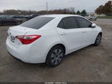 Toyota Corolla Le 2T1BURHE1EC034849 fotografie