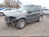 Ford Escape Xlt 1FMYU93113KB12813 снимка
