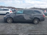 Honda Odyssey Ex-L 5FNRL5H65DB091648 снимка