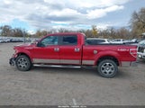 Ford F-150 Fx4/King Ranch/Lariat/Platinum/Xl/Xlt 1FTPW14V49FA69924 photo