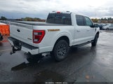 Ford F-150 Tremor 1FTEW1E82PFB16302 photo