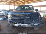 Ford F-150 Raptor 1FTFW1RG3SFB60968 photo