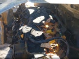 Chevrolet Equinox Lt 2GNFLFEK1G6168334 снимка