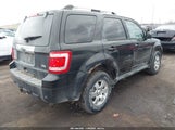 Ford Escape Limited 1FMCU9EG2BKA67665 снимка