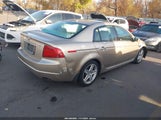 Acura Tl 19UUA66294A075162 снимка