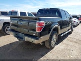 Ford F-150 Fx4/Harley-Davidson/King Ranch/Lariat/Platinum/Xl/Xlt 1FTFW1EV7AKE07497 снимка