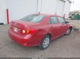 Toyota Corolla Le 1NXBU4EE0AZ241832 снимка