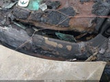Volkswagen Tiguan 2.0T Se/2.0T Sel/2.0T Sel R-Line/2.0T Sel R-Line Black 3VV2B7AX3KM143436 photo