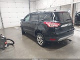 Miniaturka zdjęcia 3