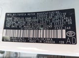 Miniaturka zdjęcia 9
