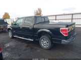 Ford F-150 Xlt 1FTFW1CT6BFB13715 снимка