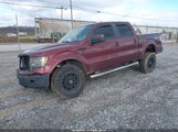 Ford F-150 Fx4/Harley-Davidson/King Ranch/Lariat/Platinum/Xl/Xlt 1FTFW1EVXAFB92903 fotografie