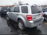 Ford Escape Xlt 1FMCU0DG1AKD17859 fotografie