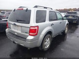 Ford Escape Xlt 1FMCU0DG1AKD17859 fotografie