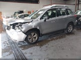 Miniaturka zdjęcia 2