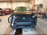 Toyota Rav4 Hybrid Xle Premium JTMB6RFV2PD090656 photo