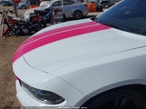 Miniaturka zdjęcia 6