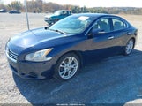 Nissan Maxima 3.5 Sv 1N4AA5AP0CC868017 снимка