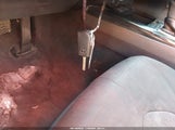 Miniaturka zdjęcia 11