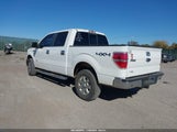 Ford F-150 Xlt 1FTFW1ETXEKD05812 снимка