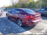 Nissan Maxima 3.5 Platinum/3.5 S/3.5 Sl/3.5 Sr/3.5 Sv 1N4AA6AP1GC447967 снимка