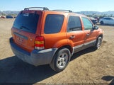 Ford Escape Xlt/Xlt Sport 1FMYU93166KA71471 fotografie