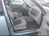 Ford Escape Hybrid 1FMCU49H58KE20270 fotografie
