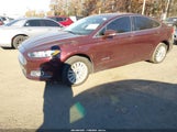 Ford Fusion Hybrid Se 3FA6P0LU0DR374656 снимка