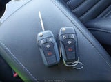 Miniaturka zdjęcia 11