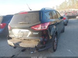 Ford Escape Titanium 1FMCU0JX6EUE10164 fotografie