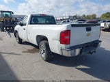 Chevrolet Silverado  Work Truck 1GCEC14C57Z515296 снимка