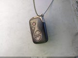 Miniaturka zdjęcia 11