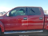 Ford F-150 Xlt 1FTFW1EF8EKG31330 снимка