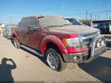 Ford F-150 Xlt 1FTFW1EF8EKG31330 снимка