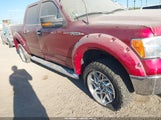 Ford F-150 Xlt 1FTFW1EF8EKG31330 снимка