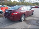 Nissan Maxima 3.5 Sv 1N4AA5AP9AC838186 снимка